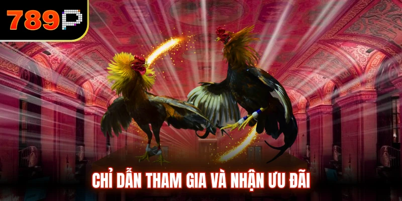 Chỉ dẫn tham gia và nhận ưu đãi