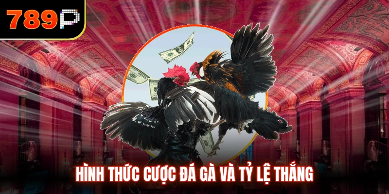 Hình thức cược đá gà và tỷ lệ thắng