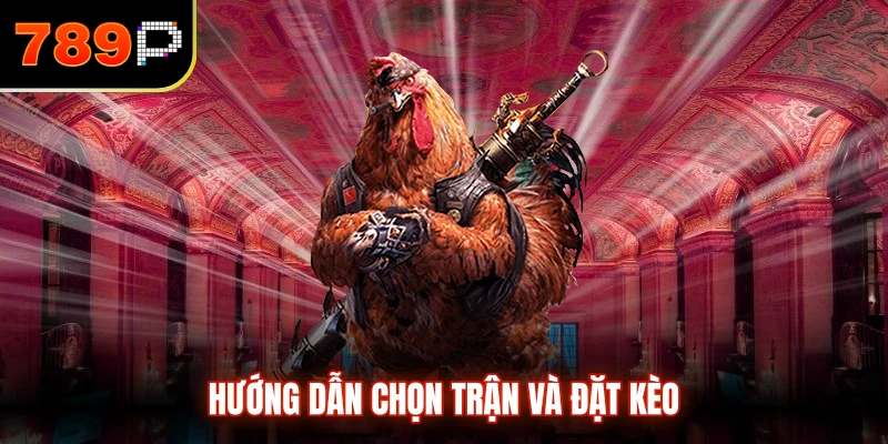 Hướng dẫn chọn trận và đặt kèo