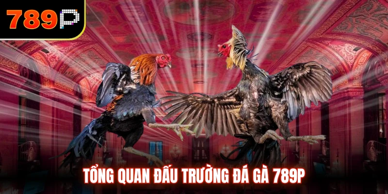 Tổng quan đấu trường đá gà 789P